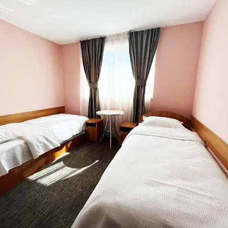 Hotel Pensiunea Diana Borşa